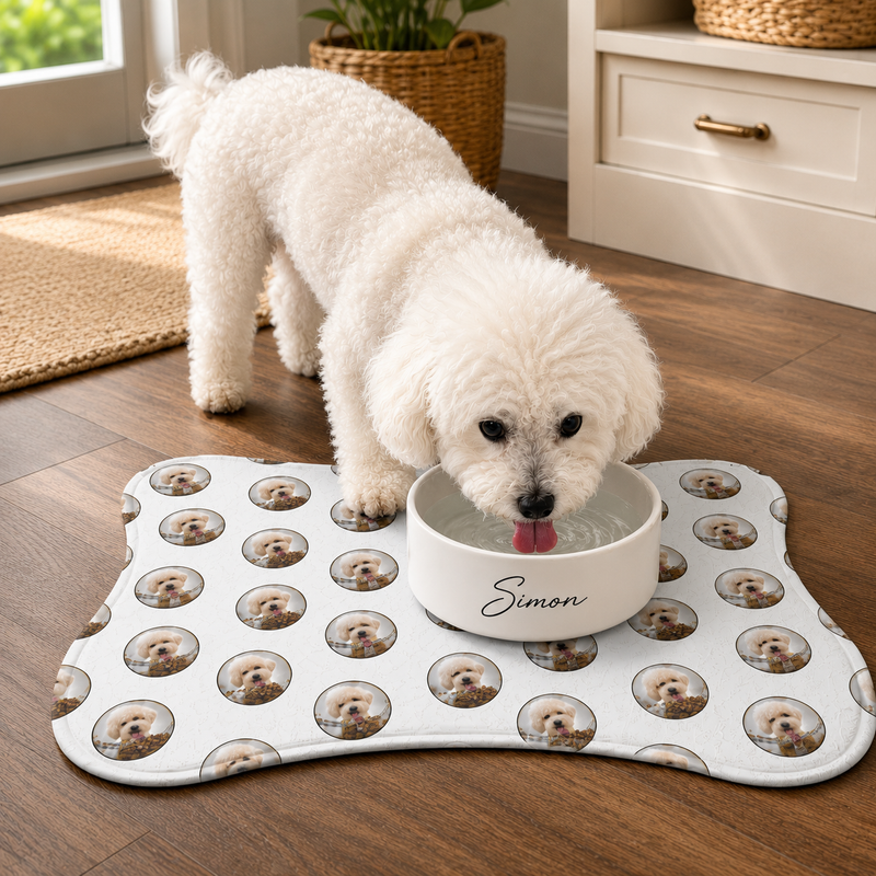 Feeding Mat