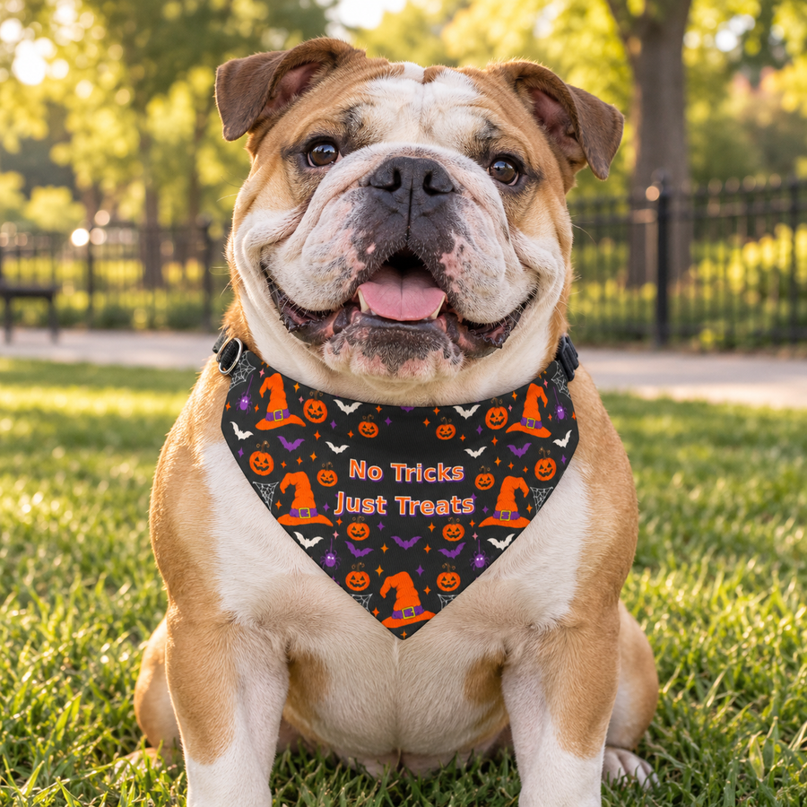 Halloween Clip-On Pet Bandana — "No Tricks Just Treats" Dog & Cat Collar Accessory
