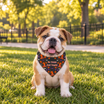 Halloween Clip-On Pet Bandana — "No Tricks Just Treats" Dog & Cat Collar Accessory